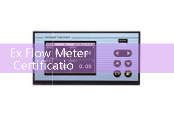 Ex Flow Meter Certification Guide: ATEX and IECEx Standards for Hazardous Areas